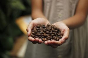 Cappuccino Fit - मूल, फार्मेसी में, भारत