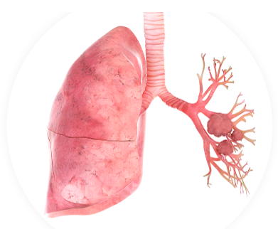 Detox Lungs दुष्प्रभाव, मतभेद